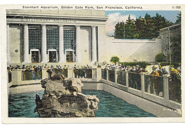 Steinhart Aquarium Seal Pool, circa 1900, #WSPostcard Collection