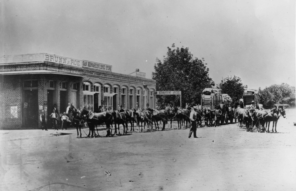 Isaac Brunn's Store, San Bernardino, 1877, WS#1570