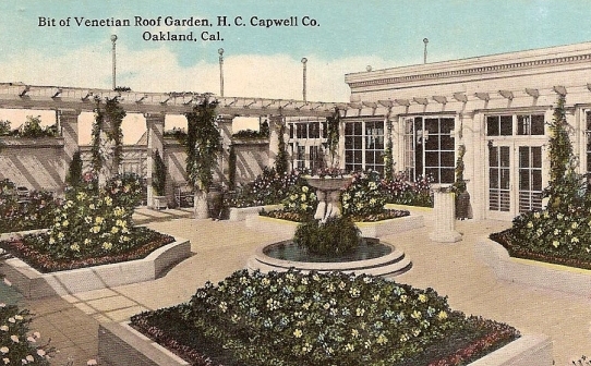 Capwell's Famous Rooftop Garden, Vintage Postcard