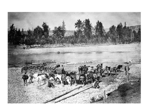 Packers at Quesnel Forks, BC
