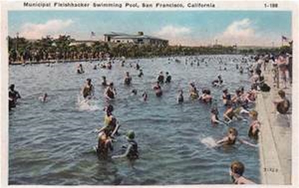 Fleishhacker Pool, Largest Salt Water Pool in the World, Vintage Postcard
