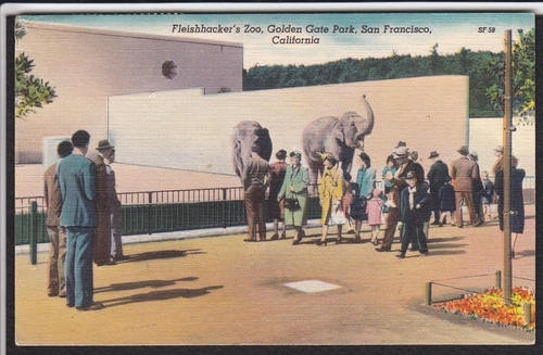 Fleishhacker Zoo, now named the San Francisco Zoo, Vintage Postcard